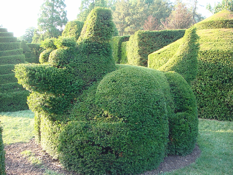 478 Longwood Gardens [2008 August 23].JPG - Longwood Gardens in Pennsylvania